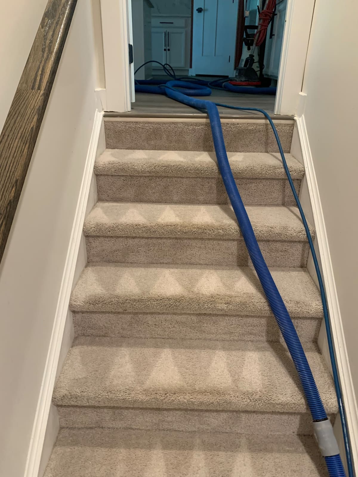 Carpet extraction in progress