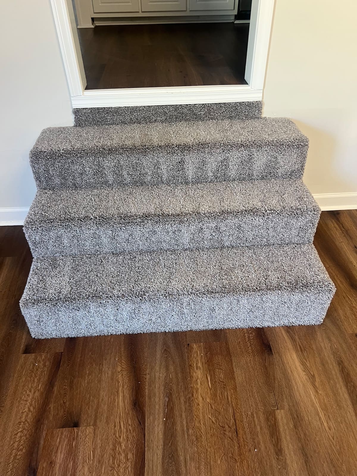 Freshly cleaned carpeted stairs