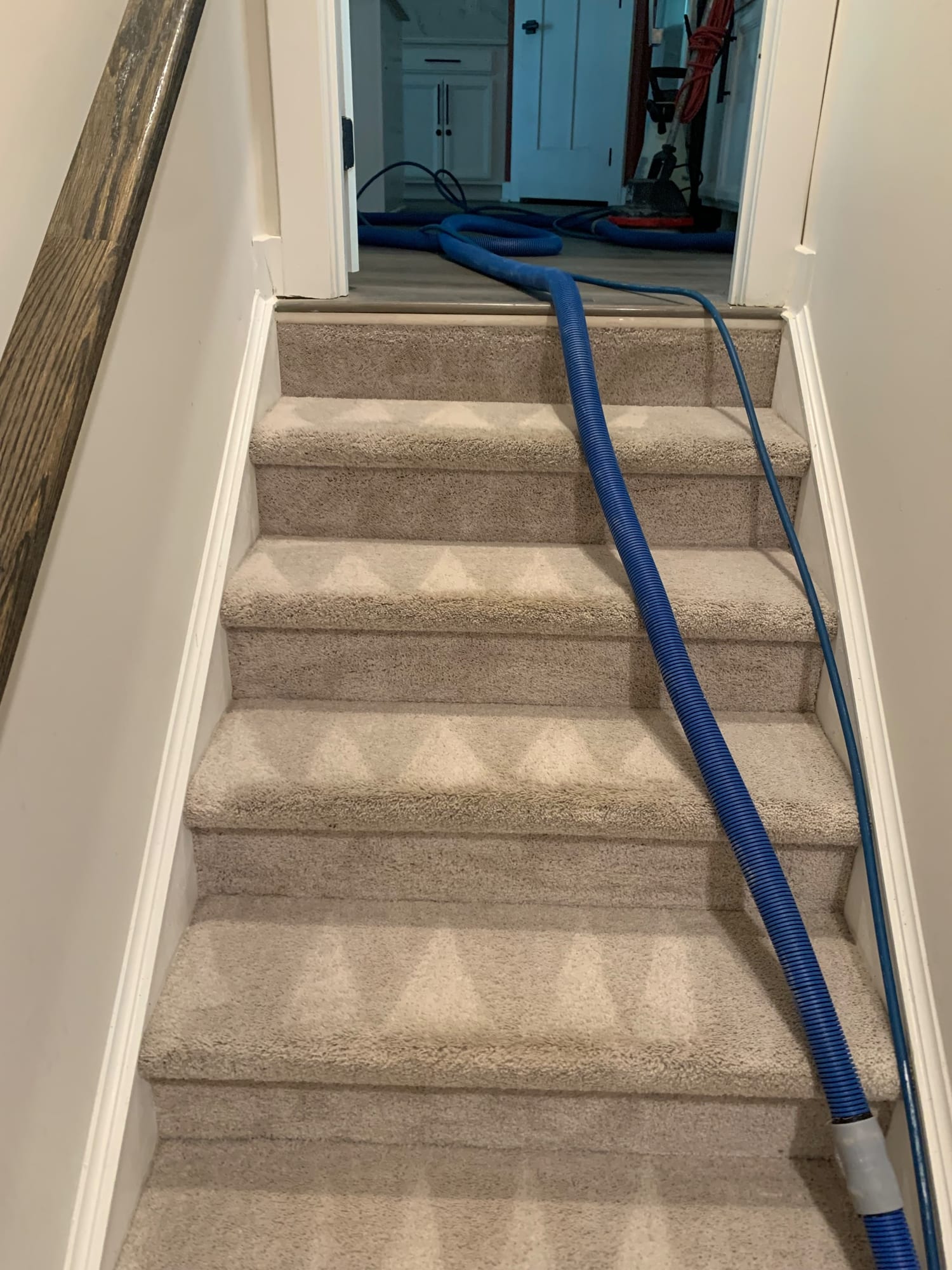 Total Cleanse carpet cleaning in progress in the Raleigh area